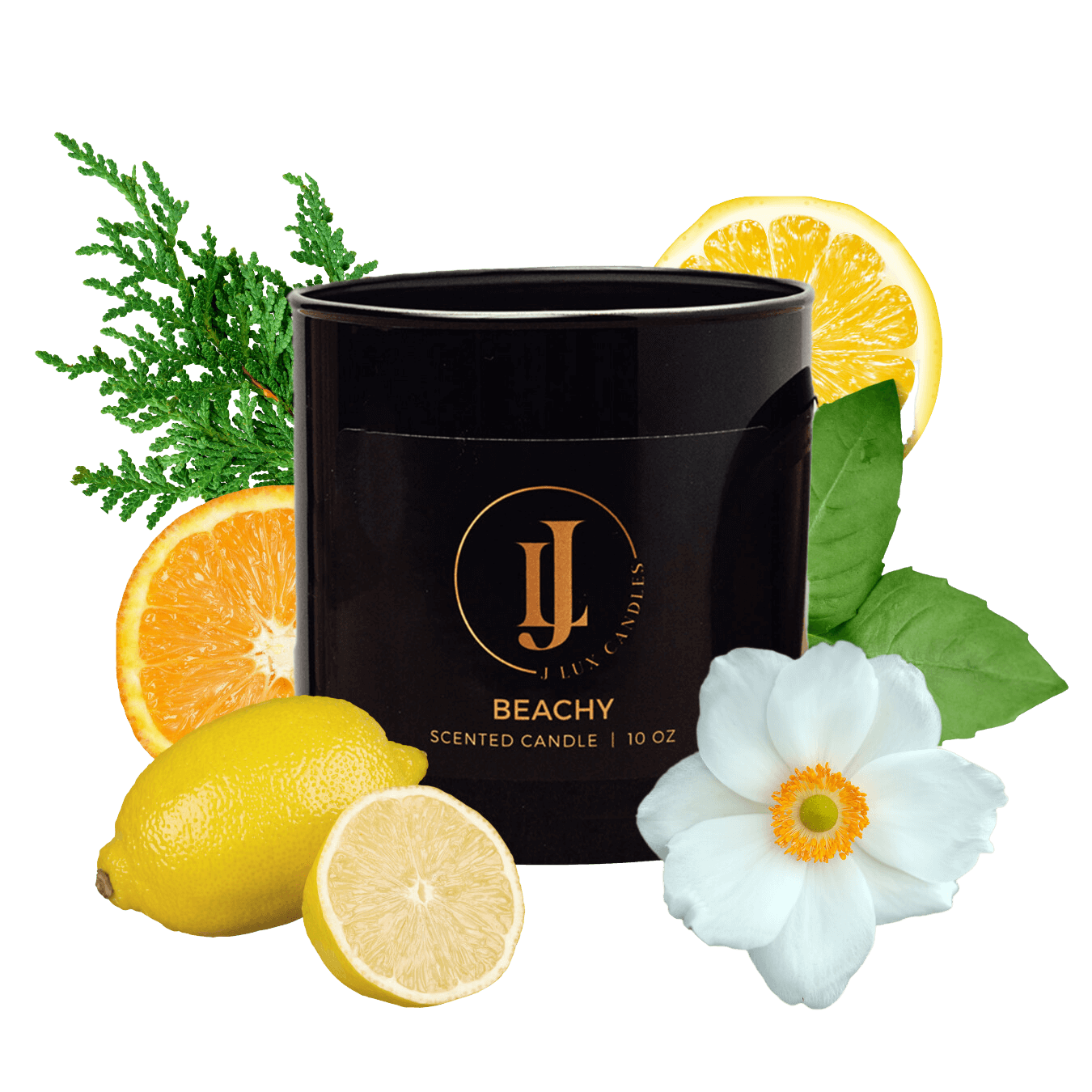 Beachy-J Lux Candles | Luxury Candles Inspired by the Virgin Islands